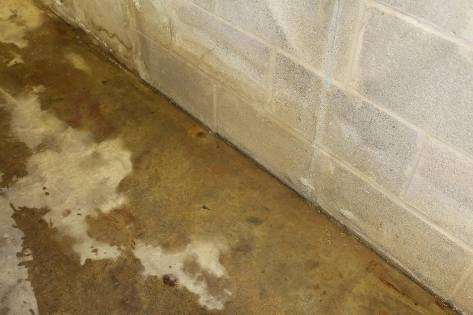 Basement water damage from downspouts