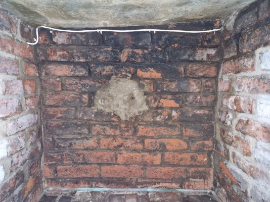 Water damage and mold from open chimney