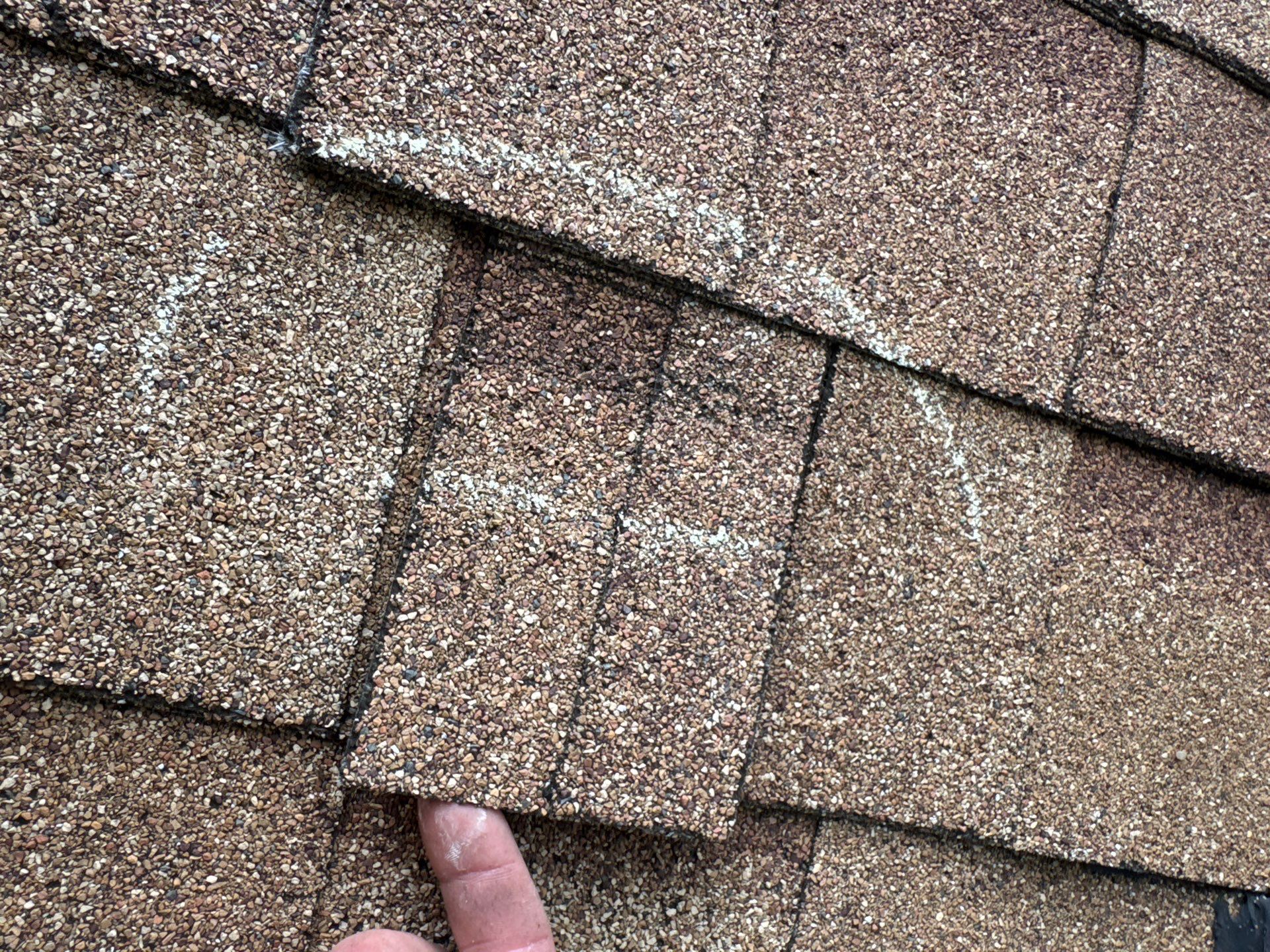 Creased shingle qualifying as wind damage on a claim