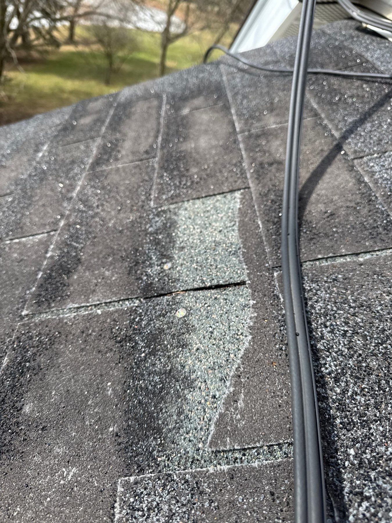 Hail damaged asphalt shingles documented for the insurance claim