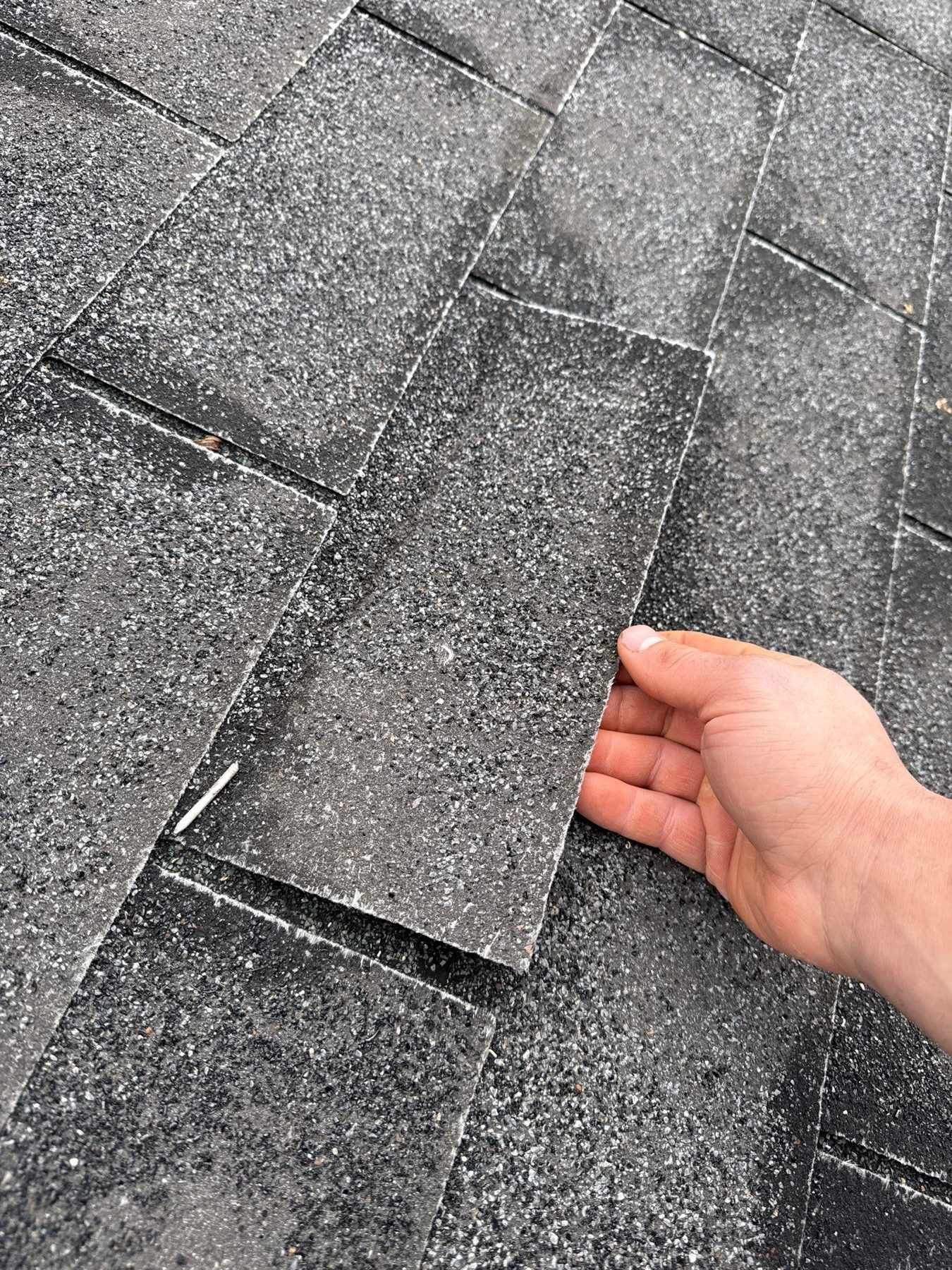 Creased shingle repairability test showing discontinued shingle