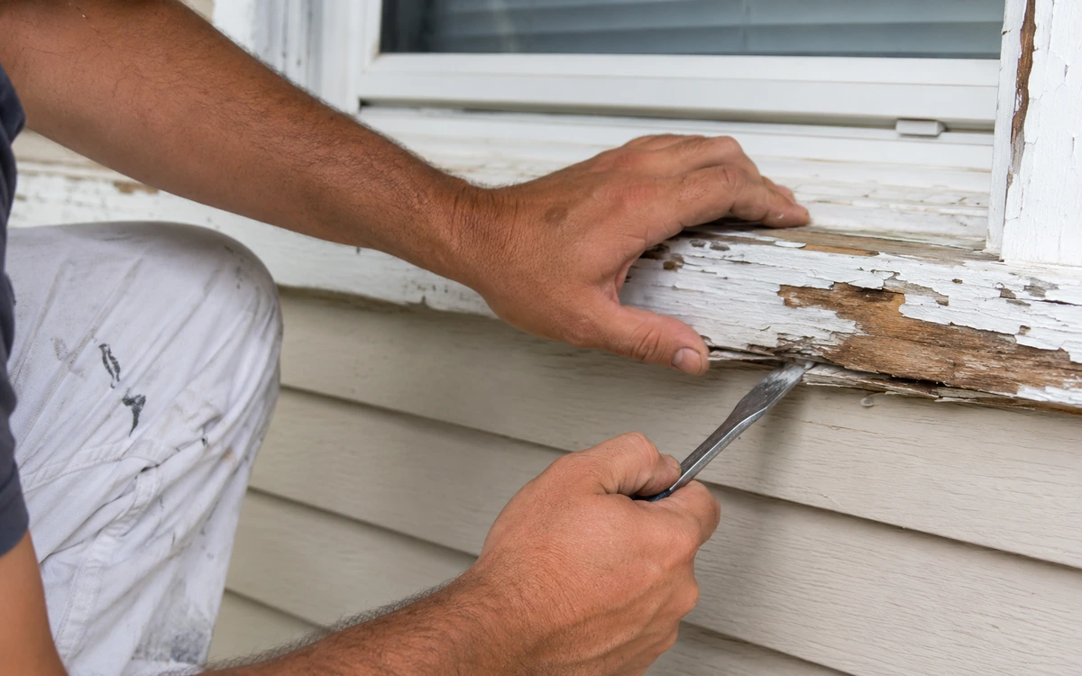 Rotted window trim being scraped for repair